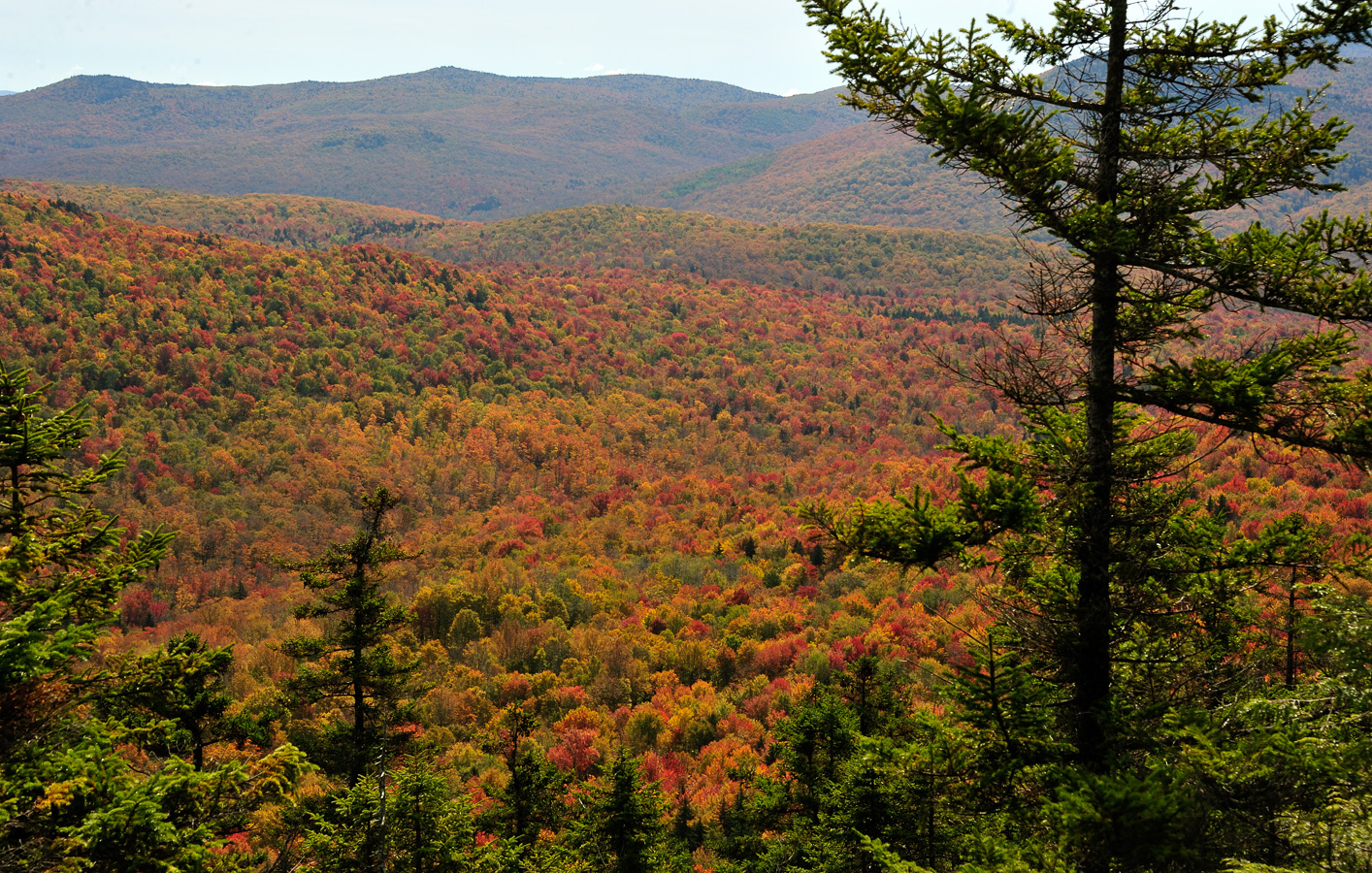 Hike up Mt. Cabot [68 mm, 1/200 sec at f / 13, ISO 400]